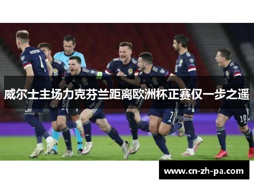 威尔士主场力克芬兰距离欧洲杯正赛仅一步之遥